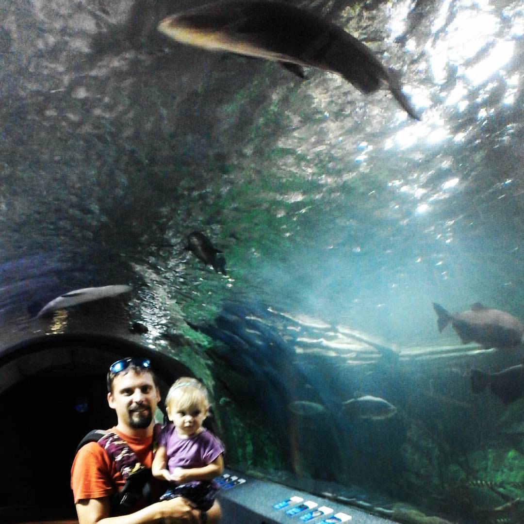 A Mom's Guide to Visiting the Newport Aquarium - Adventure Family Life